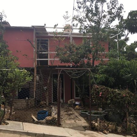 Отель La Casa Del Nenufar Oaxaca Экстерьер фото