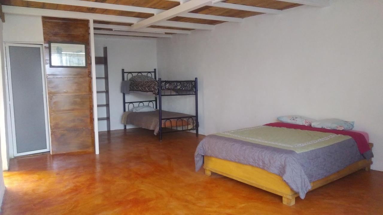 Отель La Casa Del Nenufar Oaxaca Экстерьер фото