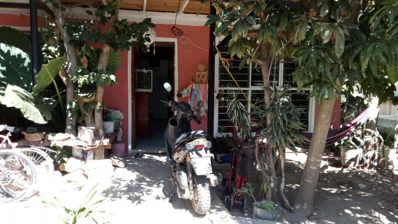 Отель La Casa Del Nenufar Oaxaca Экстерьер фото