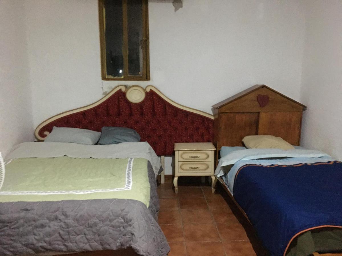 Отель La Casa Del Nenufar Oaxaca Экстерьер фото