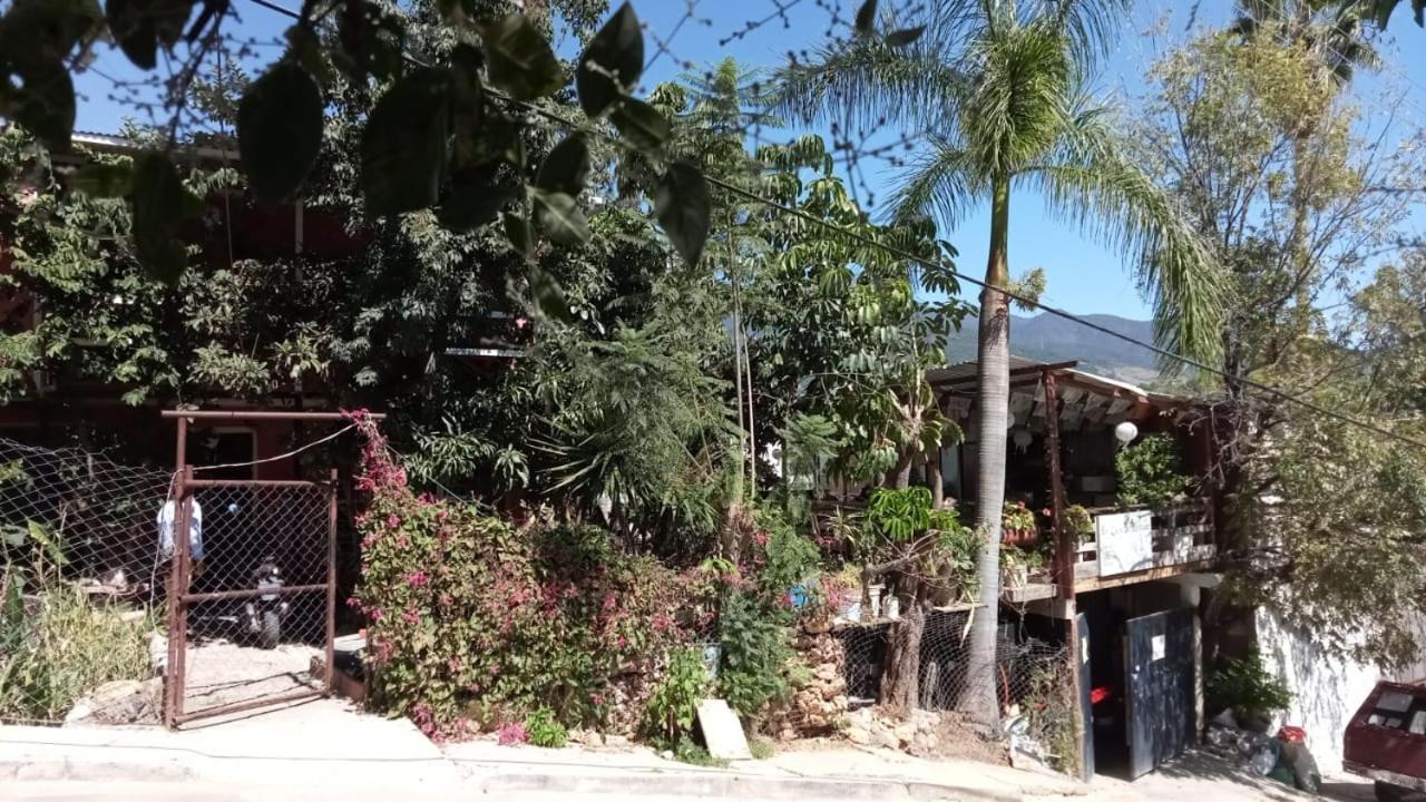 Отель La Casa Del Nenufar Oaxaca Экстерьер фото