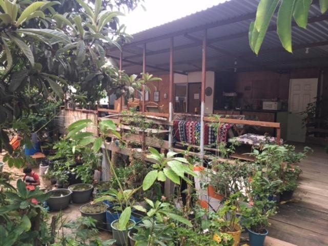 Отель La Casa Del Nenufar Oaxaca Экстерьер фото